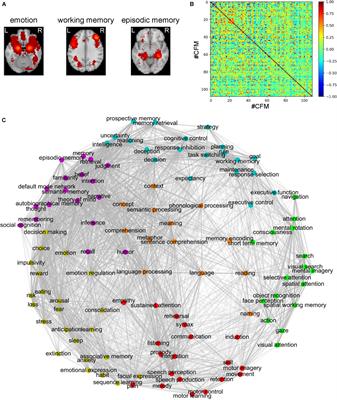 Revealing Relationships Among Cognitive Functions Using Functional Connectivity and a Large-Scale Meta-Analysis Database